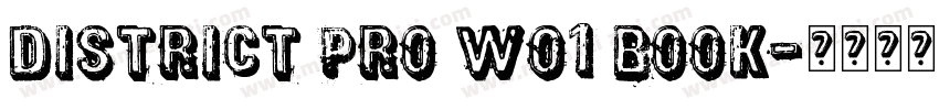 District Pro W01 Book字体转换
